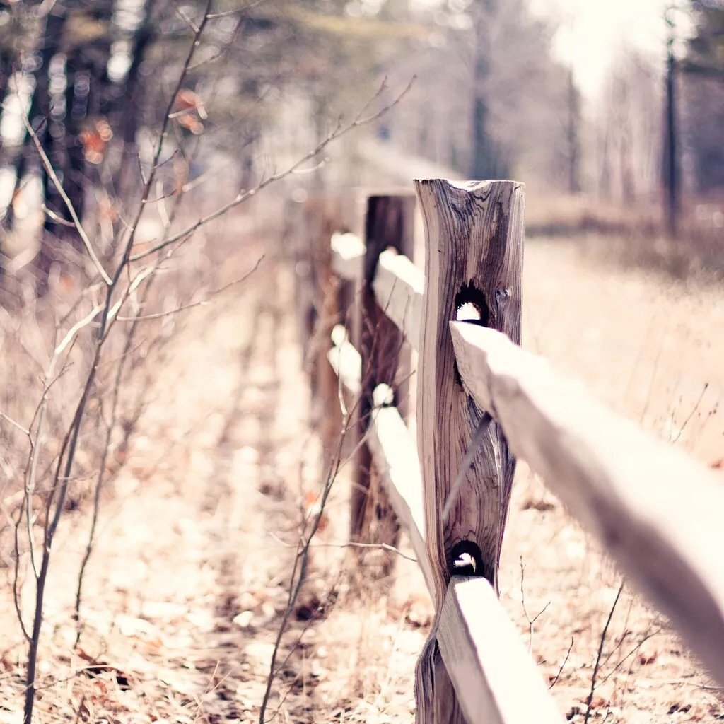 小清新,清新,唯美,物语,静物,治愈系,温暖,慢生活