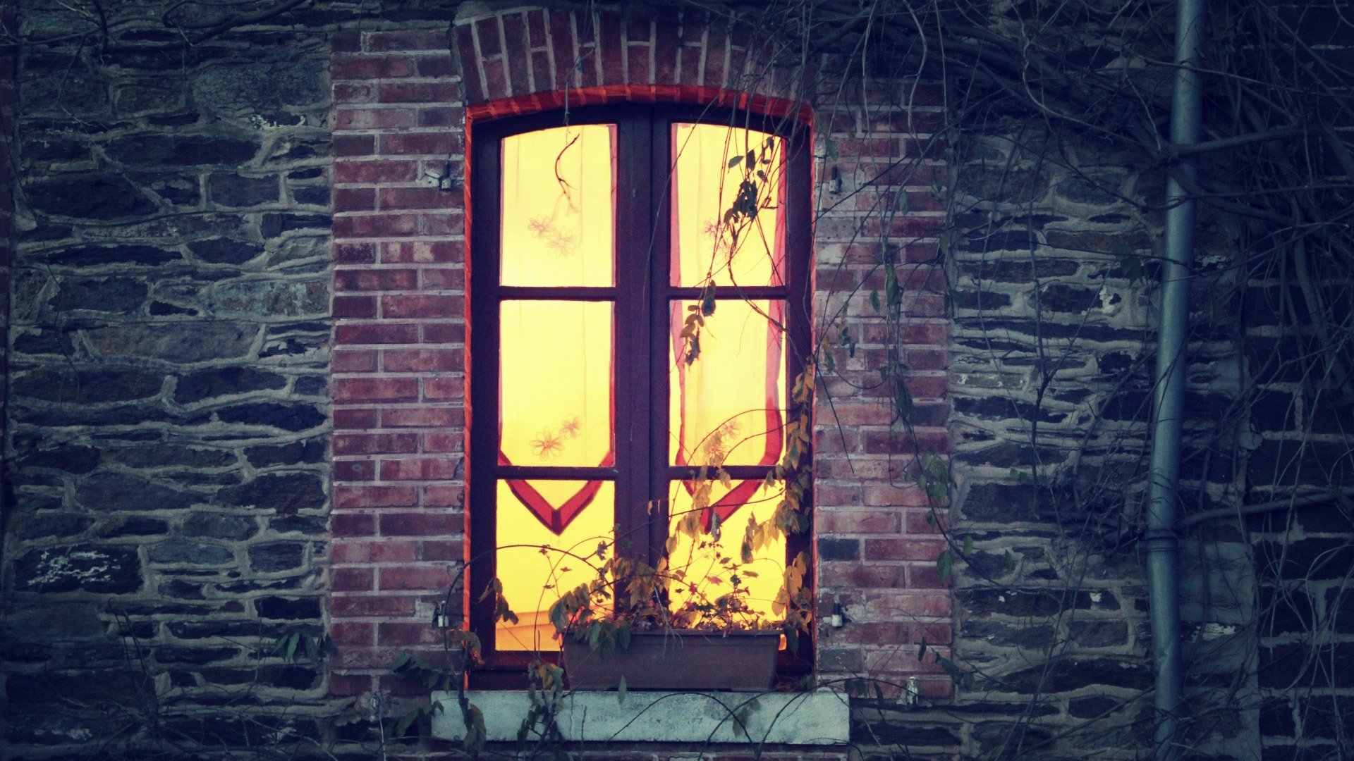 小清新,唯美,温馨,温暖,阳光,治愈系,安静,生活,慢生活,清新淡雅,温馨一刻,家,灯火阑珊