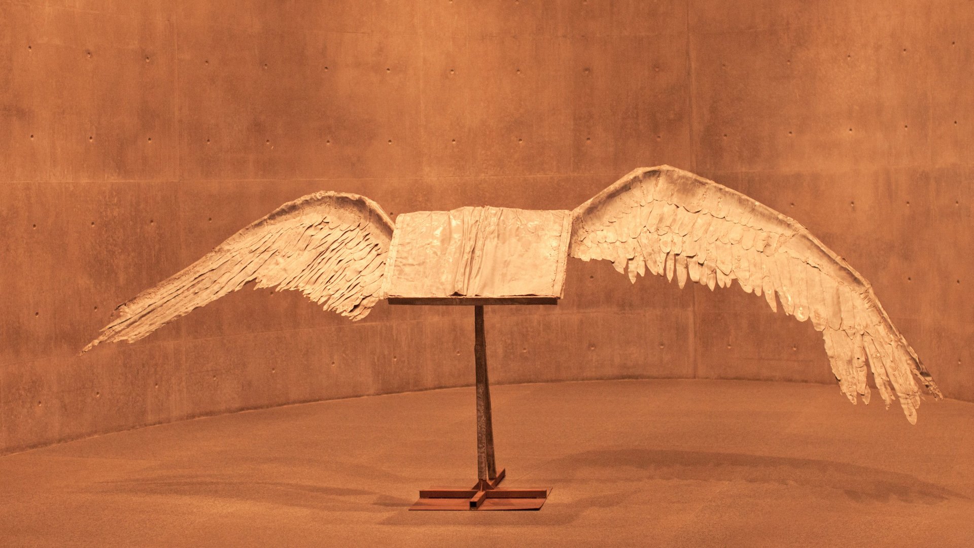 炫酷,特效,视觉艺术,设计