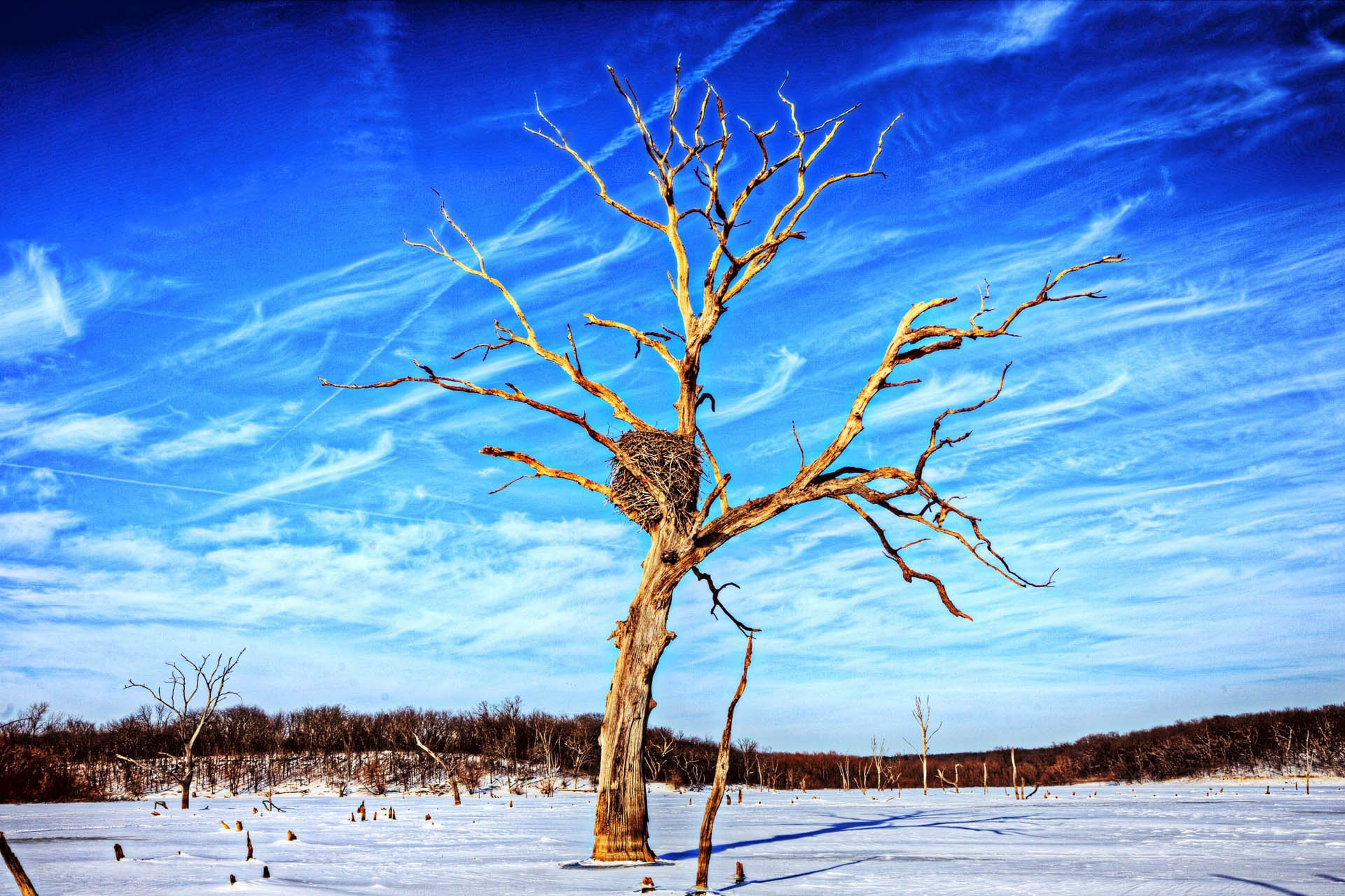 自然,风光,风景,冰天雪地,雪,冬天,冷,寒冷
