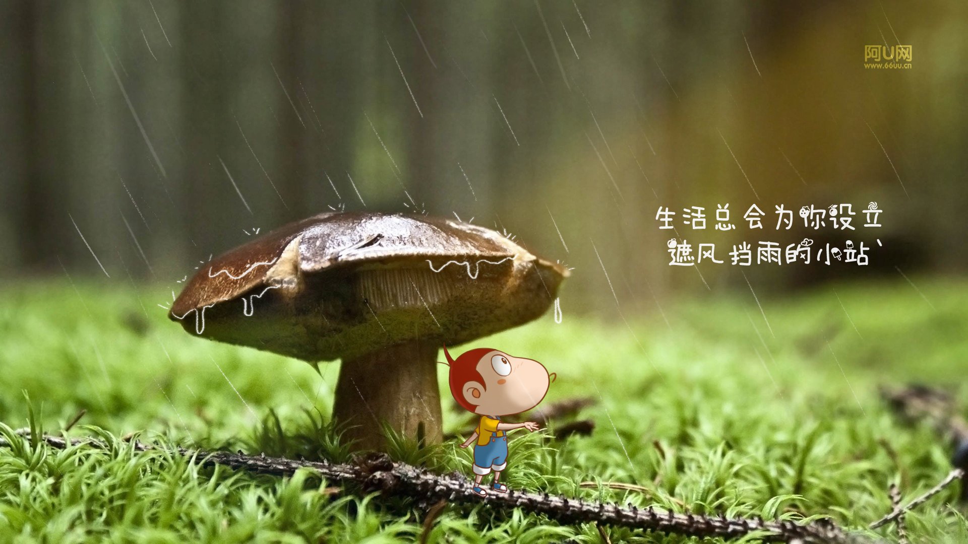 动漫卡通,手绘,阿U,阿U的旅行日记