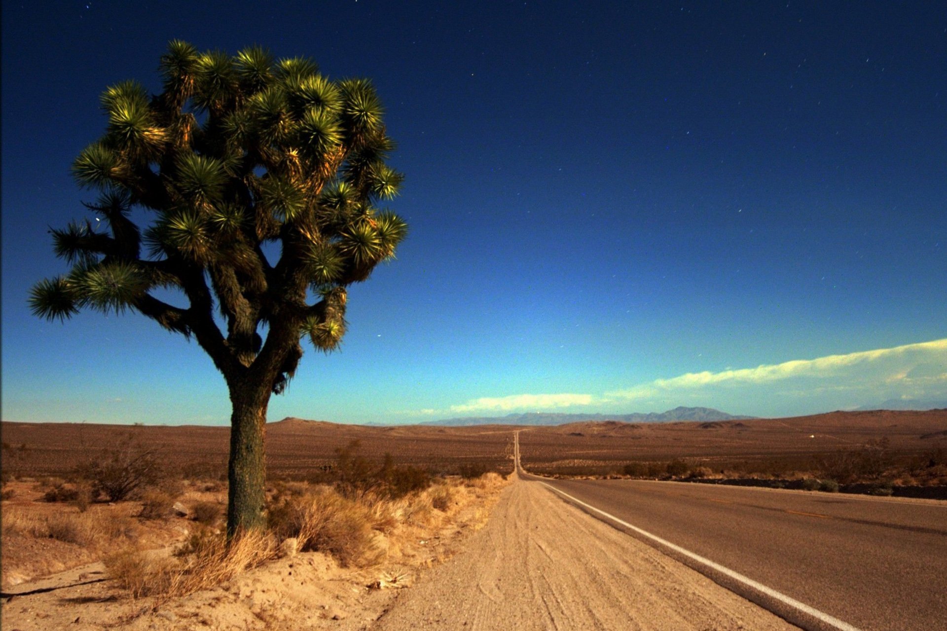自然,风光,风景,路,前方,方向,前进
