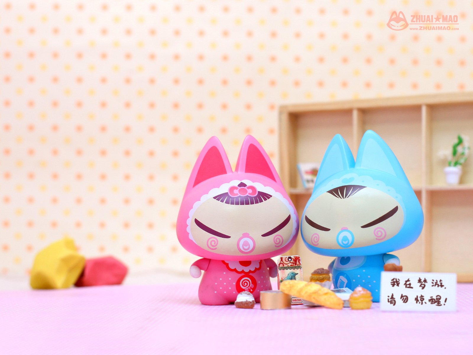 拽猫,可爱,动漫,摄影,静物微距,文字,愚人节,恶搞,搞笑