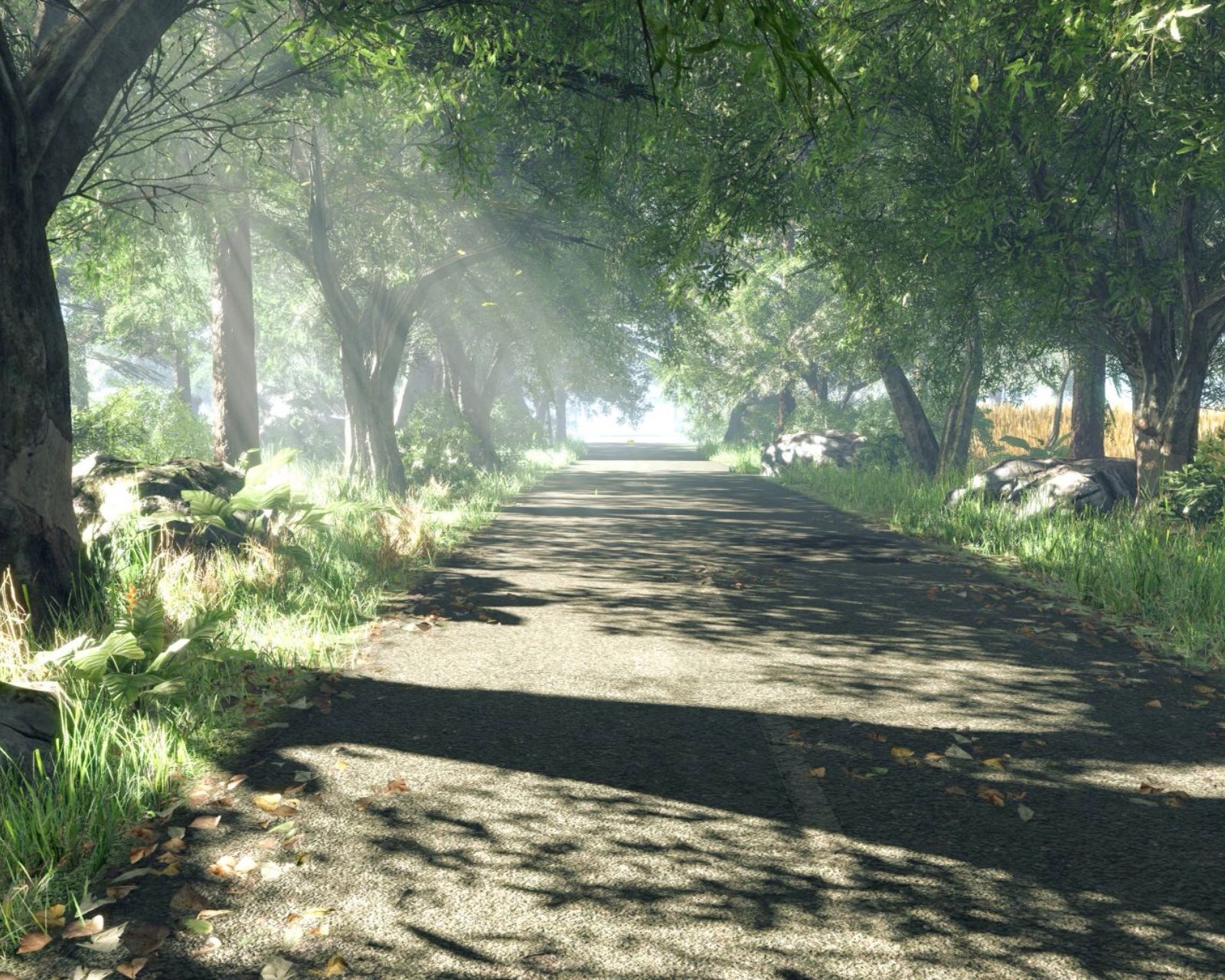 风景,自然,风光,唯美,安静,树林,路