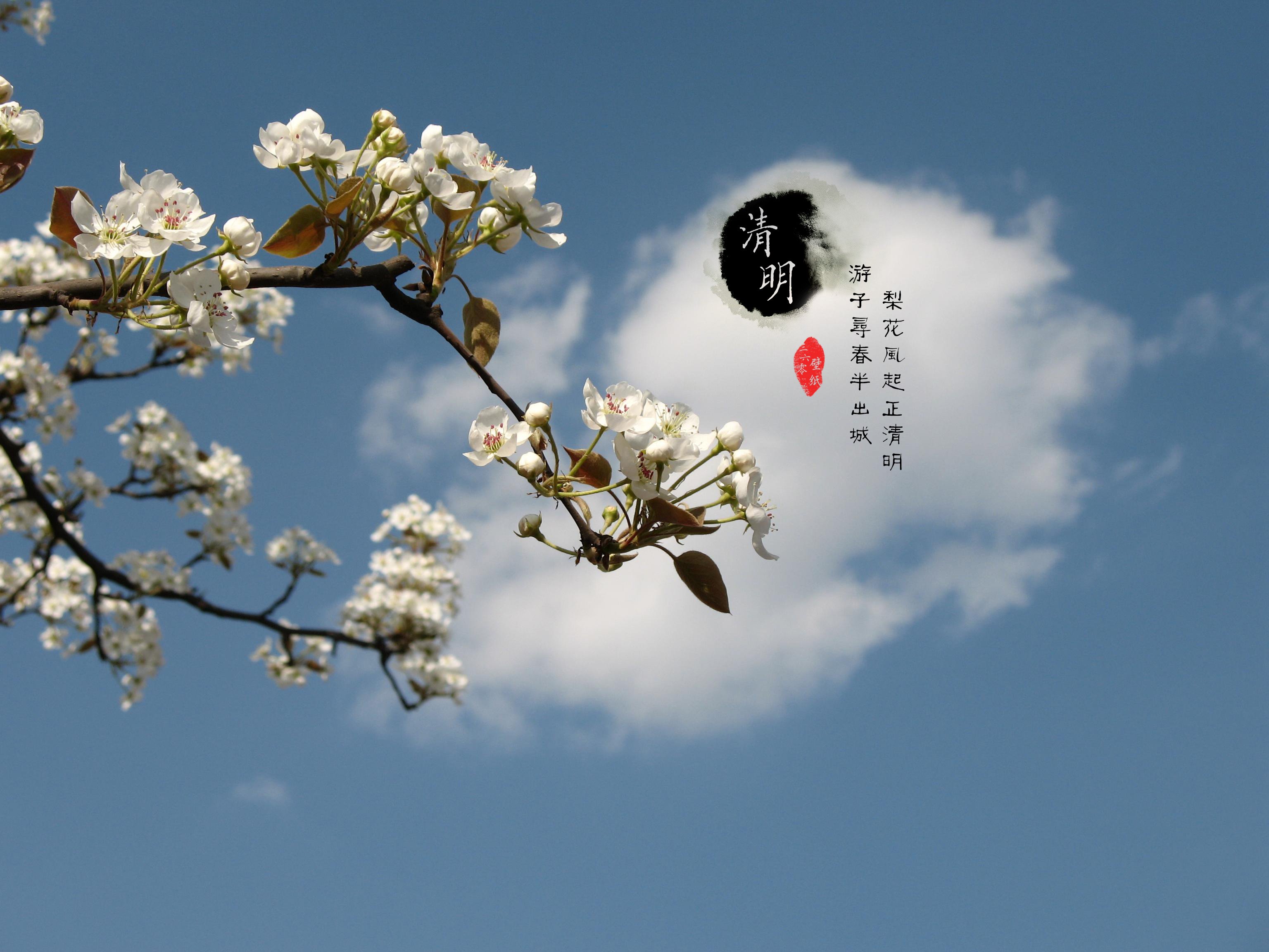 清明节,古风,古诗,诗句,意境,节气,24节气,二十四节气,@姑凉_你又瘦了