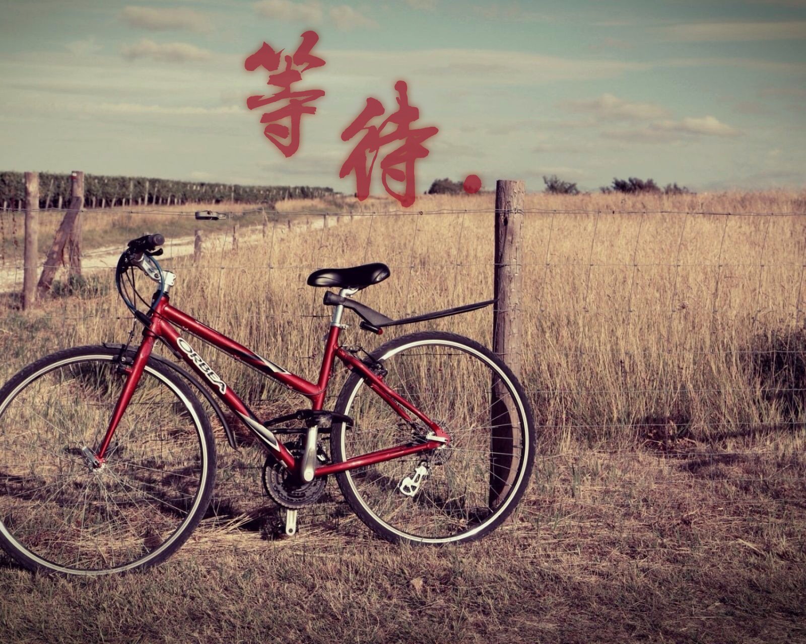 情感,温馨,文字控,心事,治愈,自行车,等待