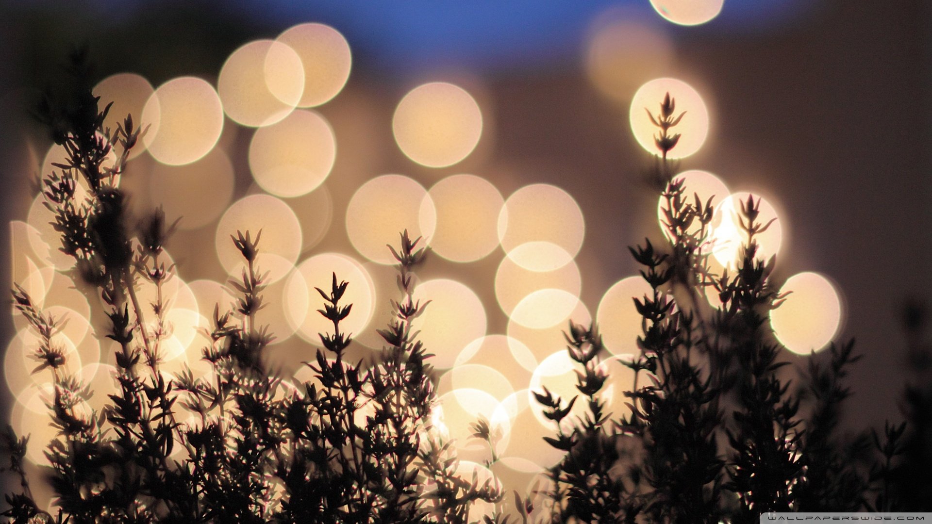 炫酷,特效,视觉艺术,设计,炫彩,彩色,光