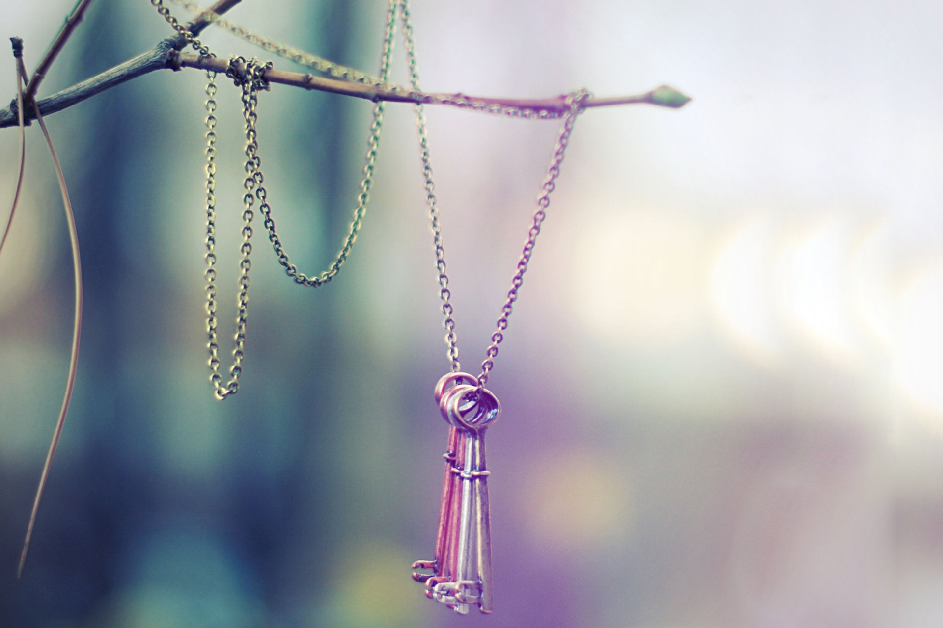 小清新,唯美,温馨,温暖,阳光,治愈系,安静,生活,慢生活,清新淡雅,温馨一刻,静物写真,物语