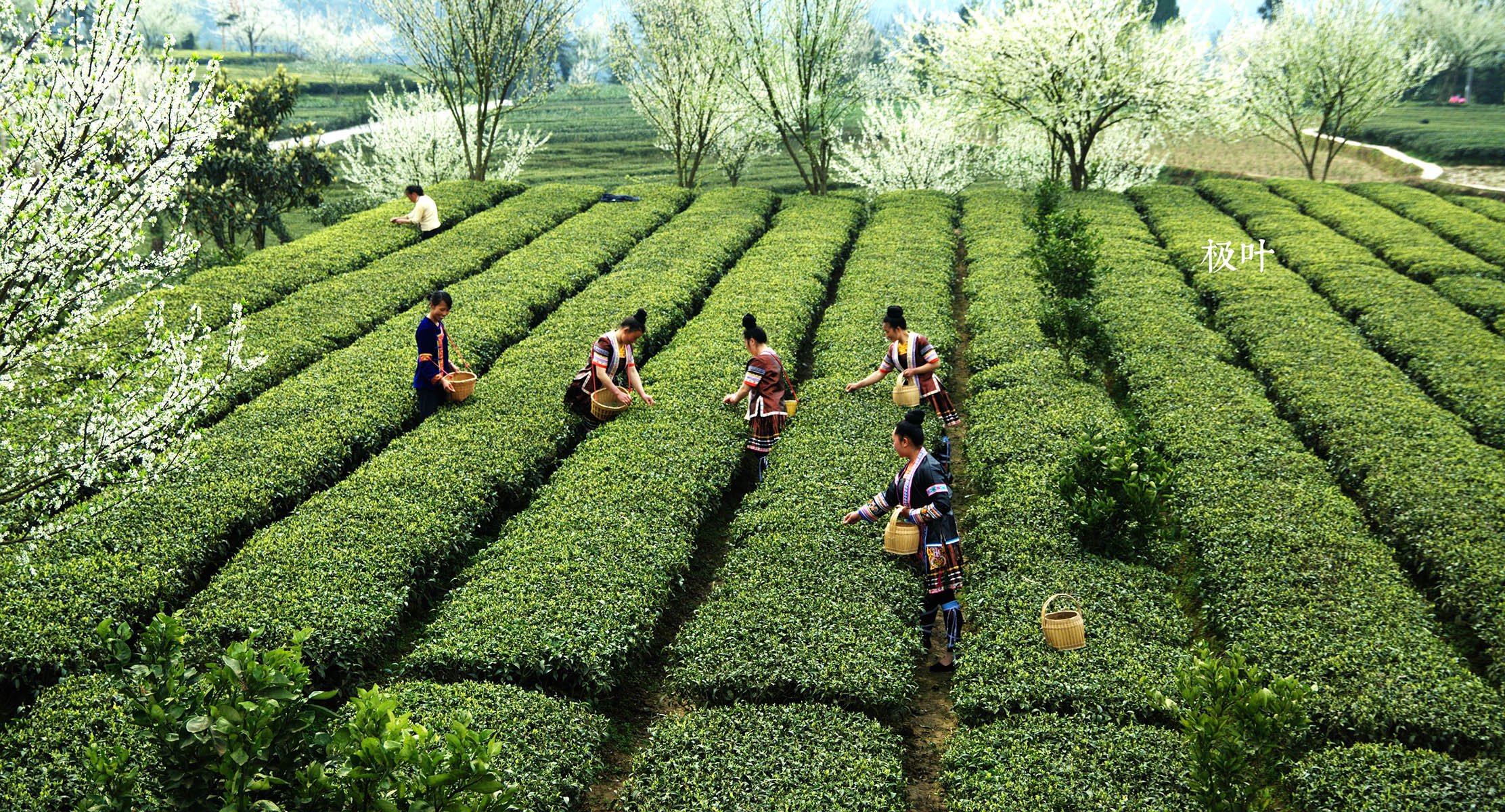 恩施摄影师,风景,唯美,意境