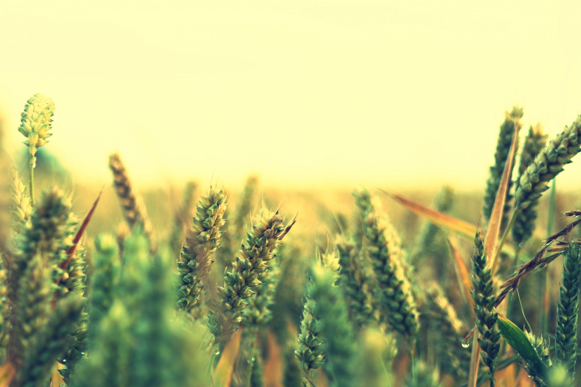 自然,风光,风景,秋天,秋意正浓