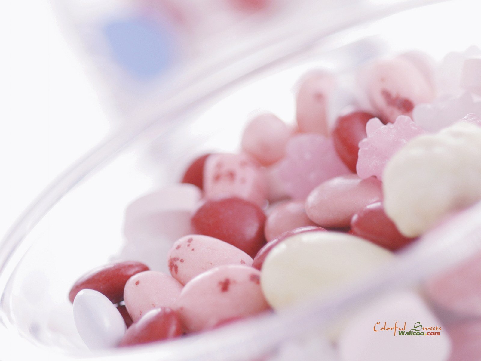 小清新,唯美,浪漫,温暖,温馨,干净,治愈系,慢生活,治愈,美好,梦幻,糖果,彩色,甜蜜,食物梦幻糖果屋