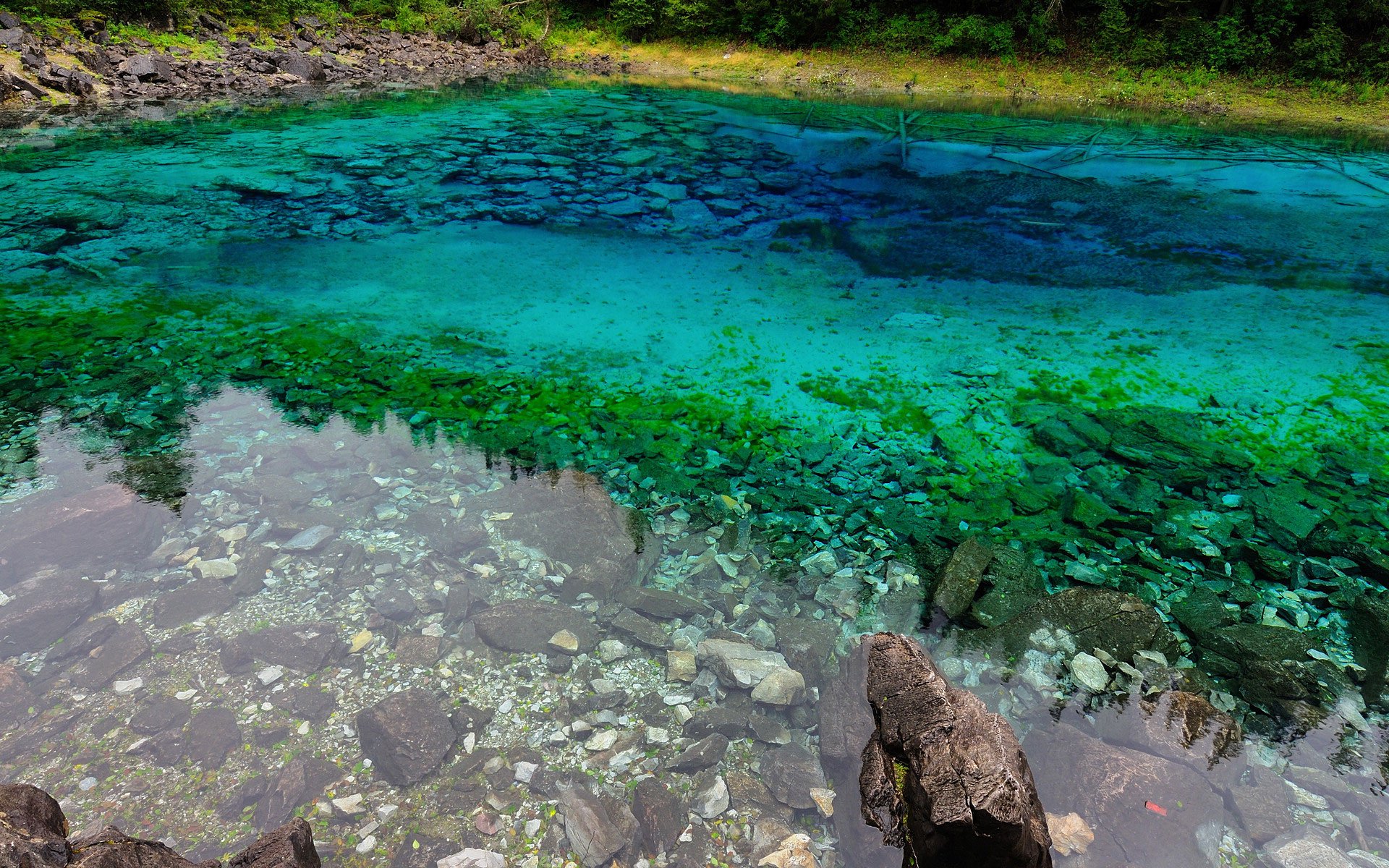 小清新,唯美,温馨,温暖,阳光,绿色养眼,自然,大海