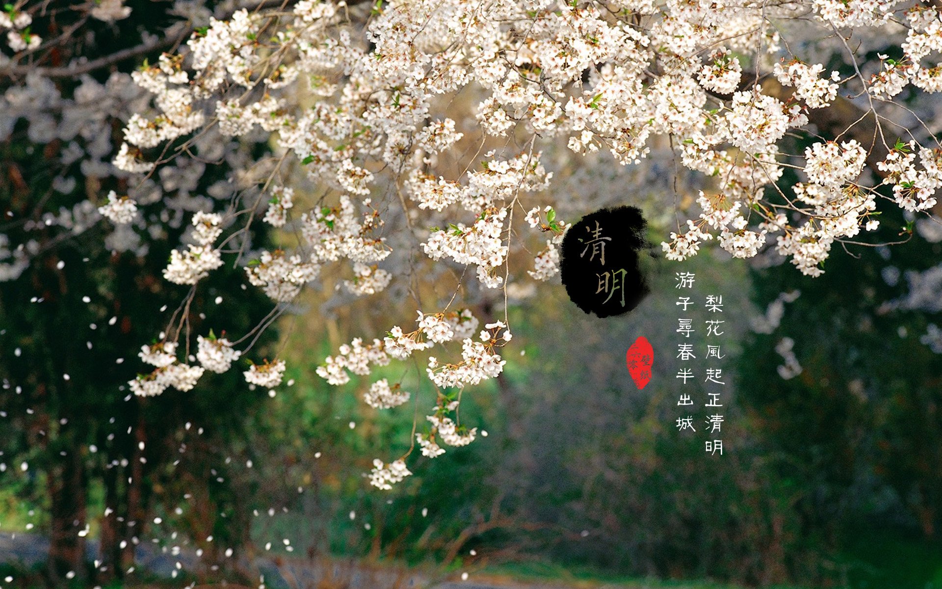 清明节,古风,古诗,诗句,意境,节气,24节气,二十四节气,@姑凉_你又瘦了