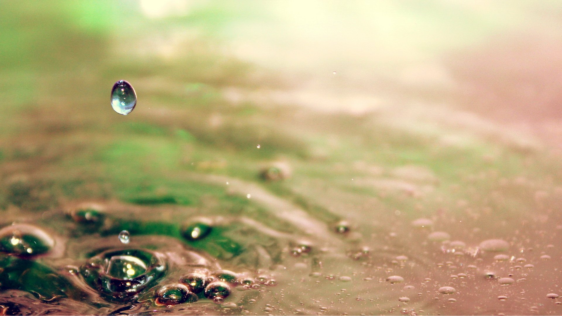 小清新,唯美,温馨,温暖,阳光,治愈系,安静,生活,慢生活,清新淡雅,温馨一刻,露珠