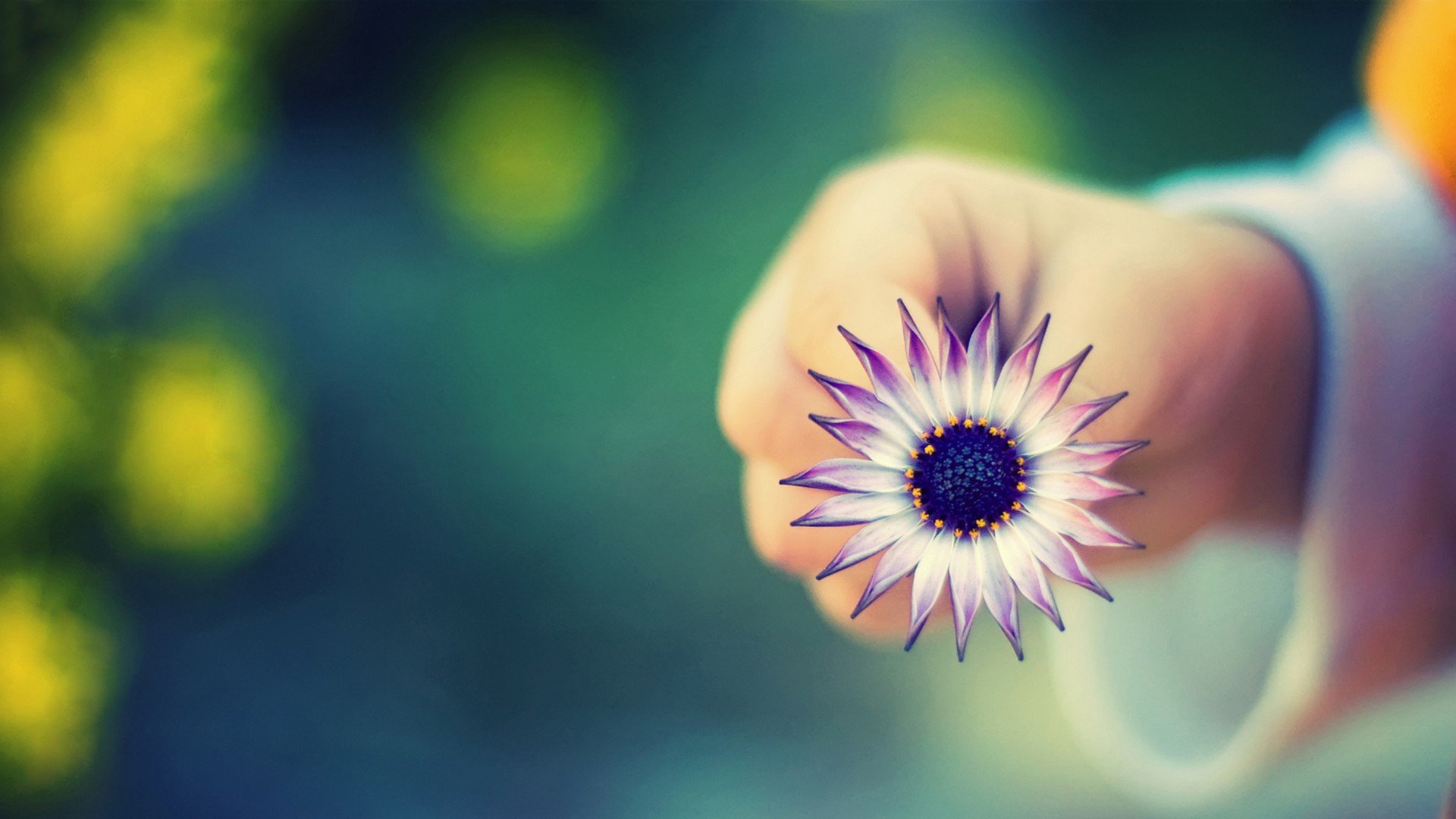 小清新,唯美,温馨,温暖,阳光,治愈系,安静,生活,慢生活,清新淡雅,温馨一刻,花,手,女孩,女生,等待