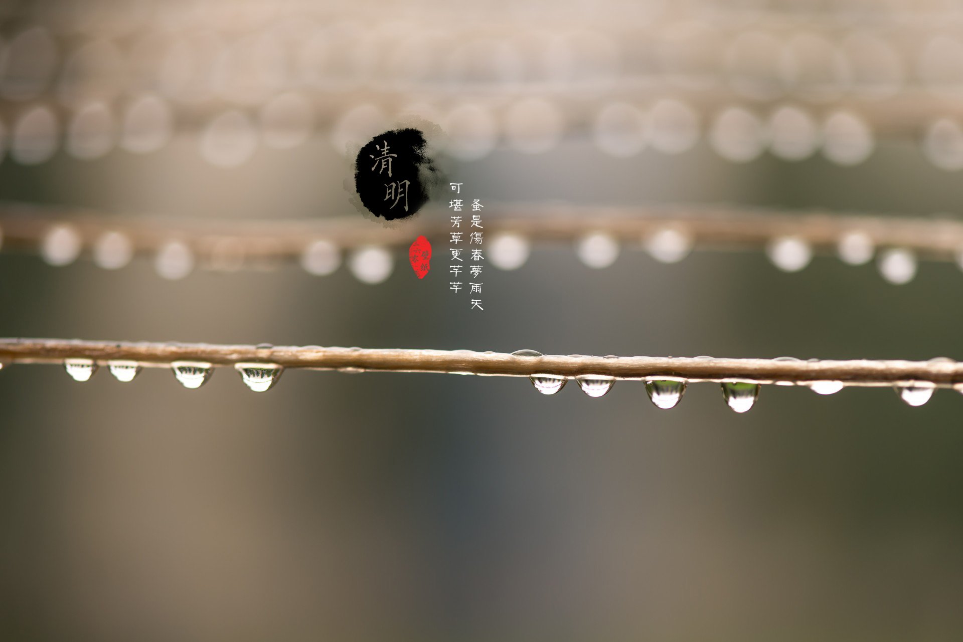 清明节,古风,古诗,诗句,意境,节气,24节气,二十四节气,@姑凉_你又瘦了