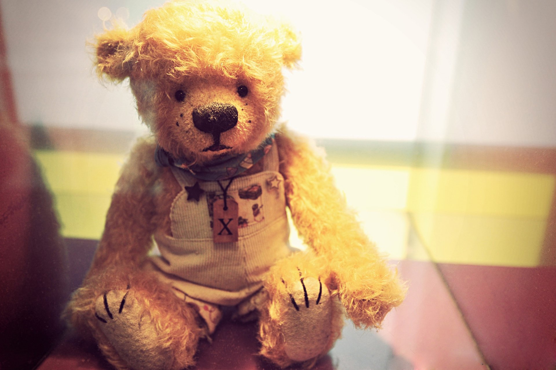 小清新,唯美,温馨,温暖,阳光,治愈系,安静,生活,慢生活,清新淡雅,温馨一刻,静物写真,物语,熊,孤单,寂寞,等待,一个人