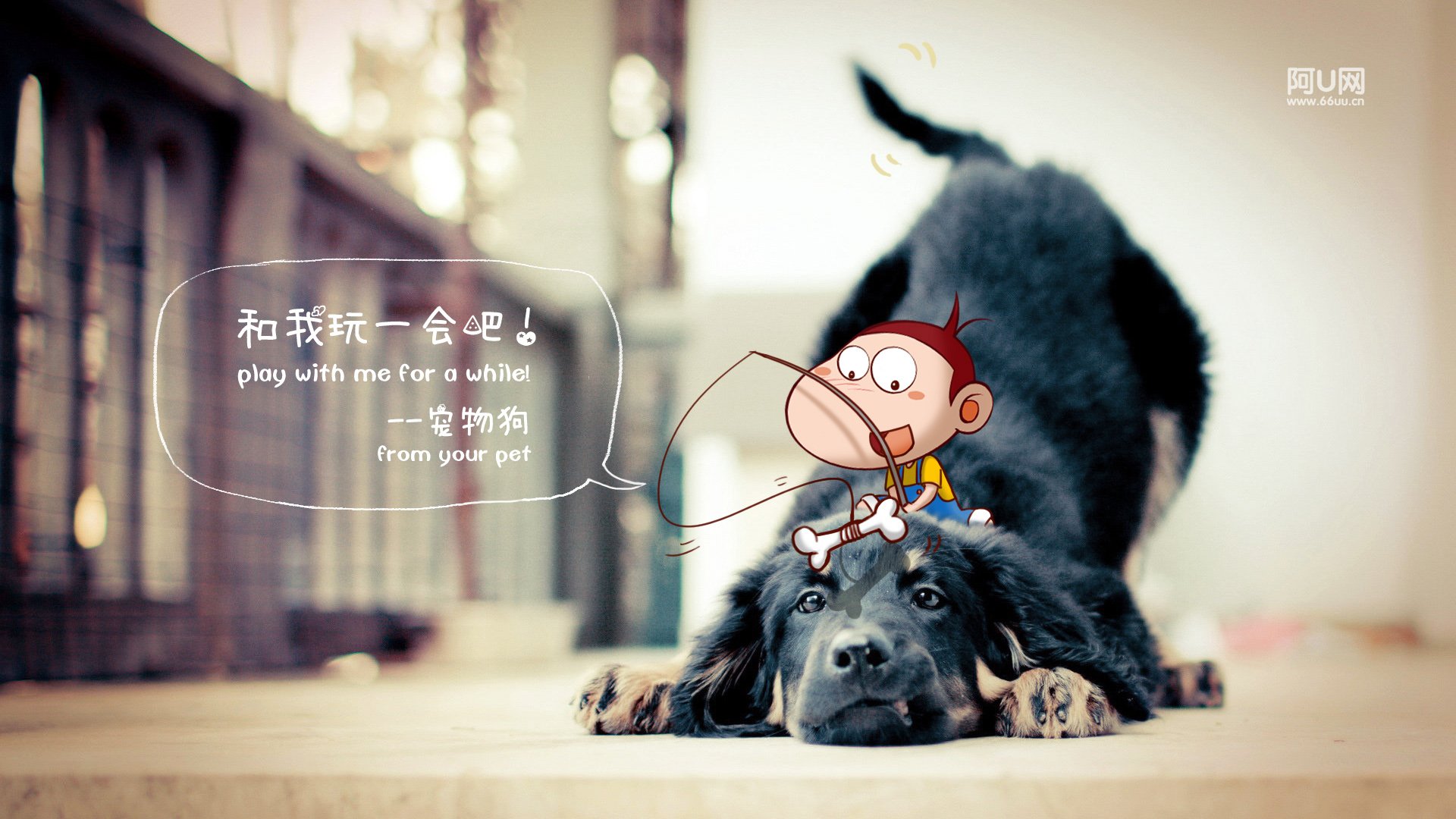 动漫卡通,手绘,阿U,阿U的旅行日记