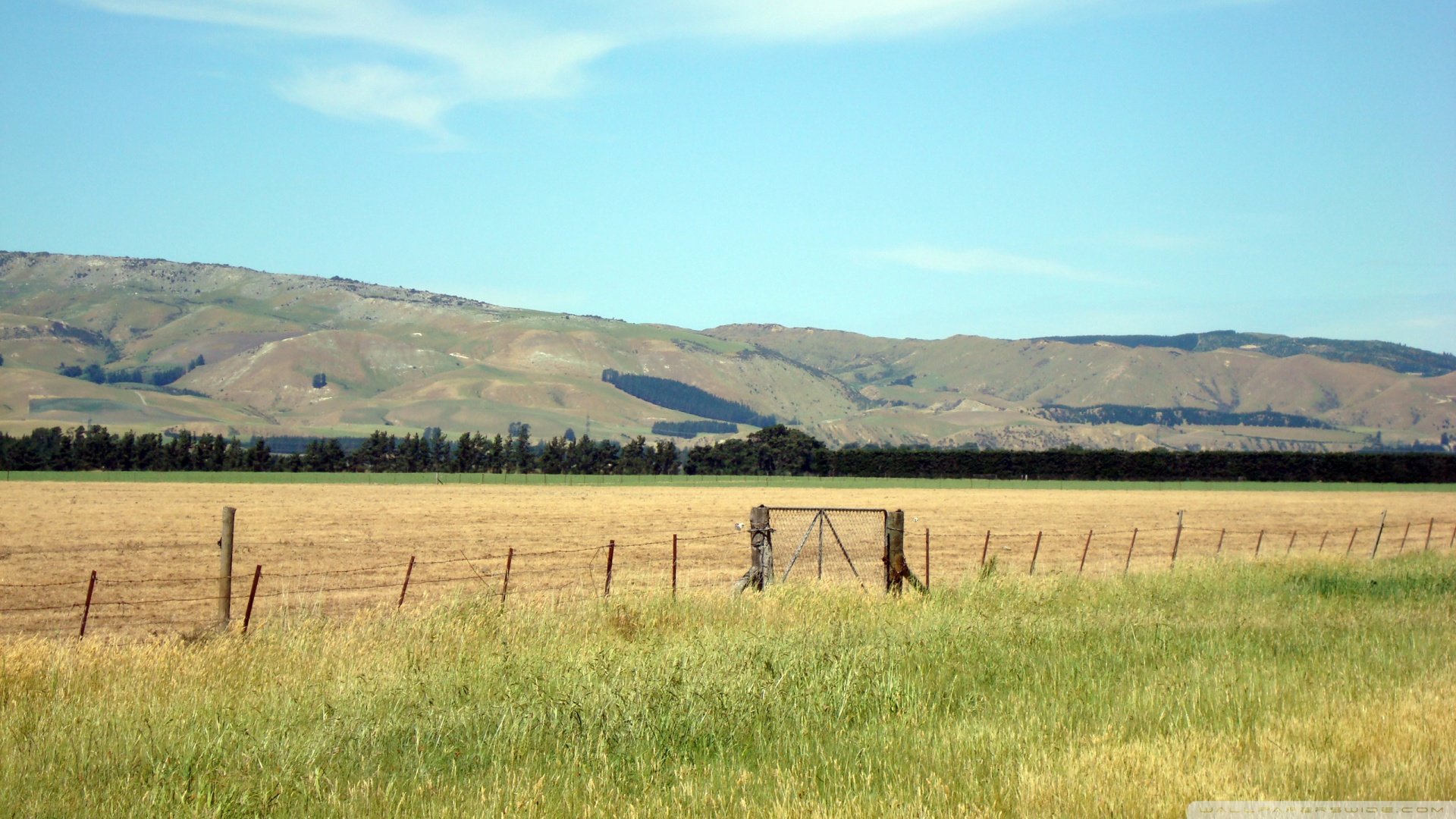 自然,风光,风景,秋天,秋意正浓
