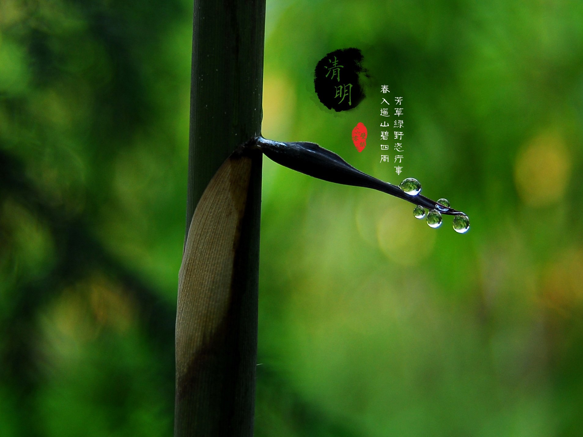 清明节,古风,古诗,诗句,意境,节气,24节气,二十四节气,@姑凉_你又瘦了