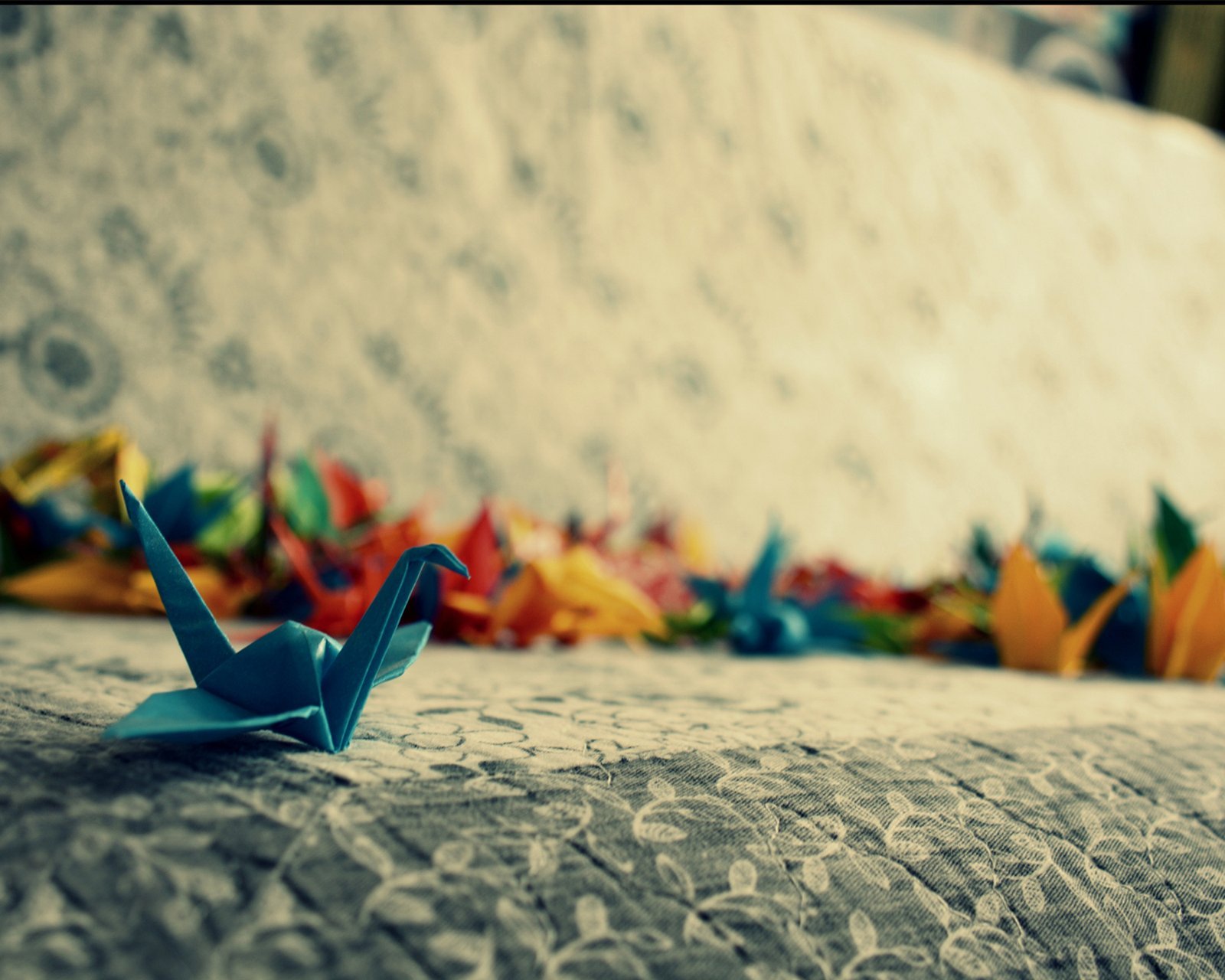 小清新,清新,唯美,物语,静物,治愈系,温暖,慢生活,千纸鹤