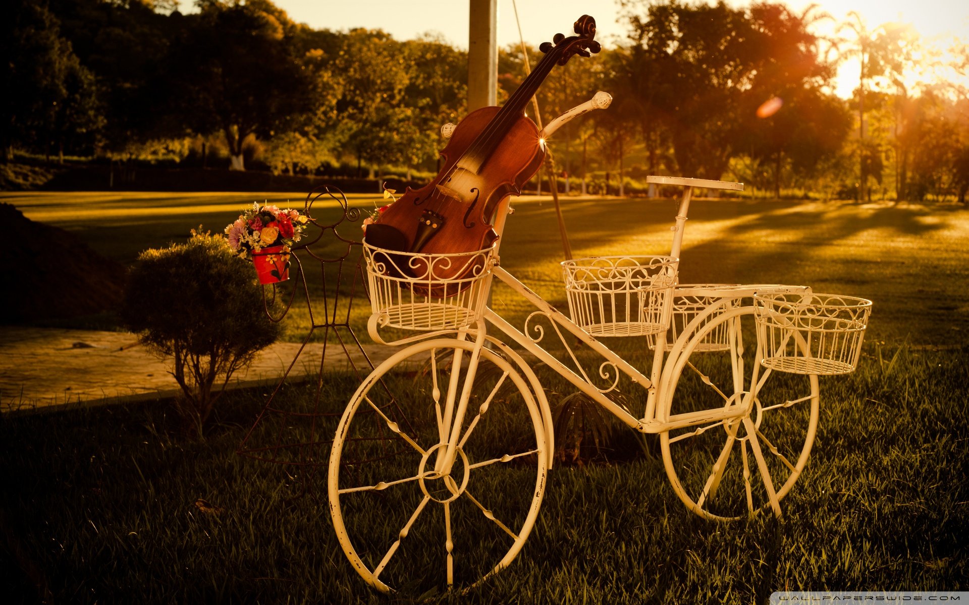 小清新,唯美,温馨,温暖,阳光,治愈系,安静,生活,慢生活,清新淡雅,温馨一刻,自行车,单车,小提琴