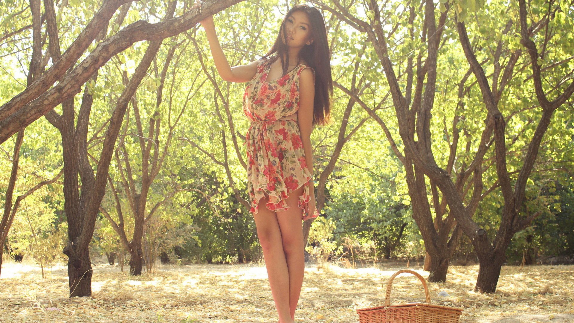 美女,清纯佳人,青春,温暖,安静,清新