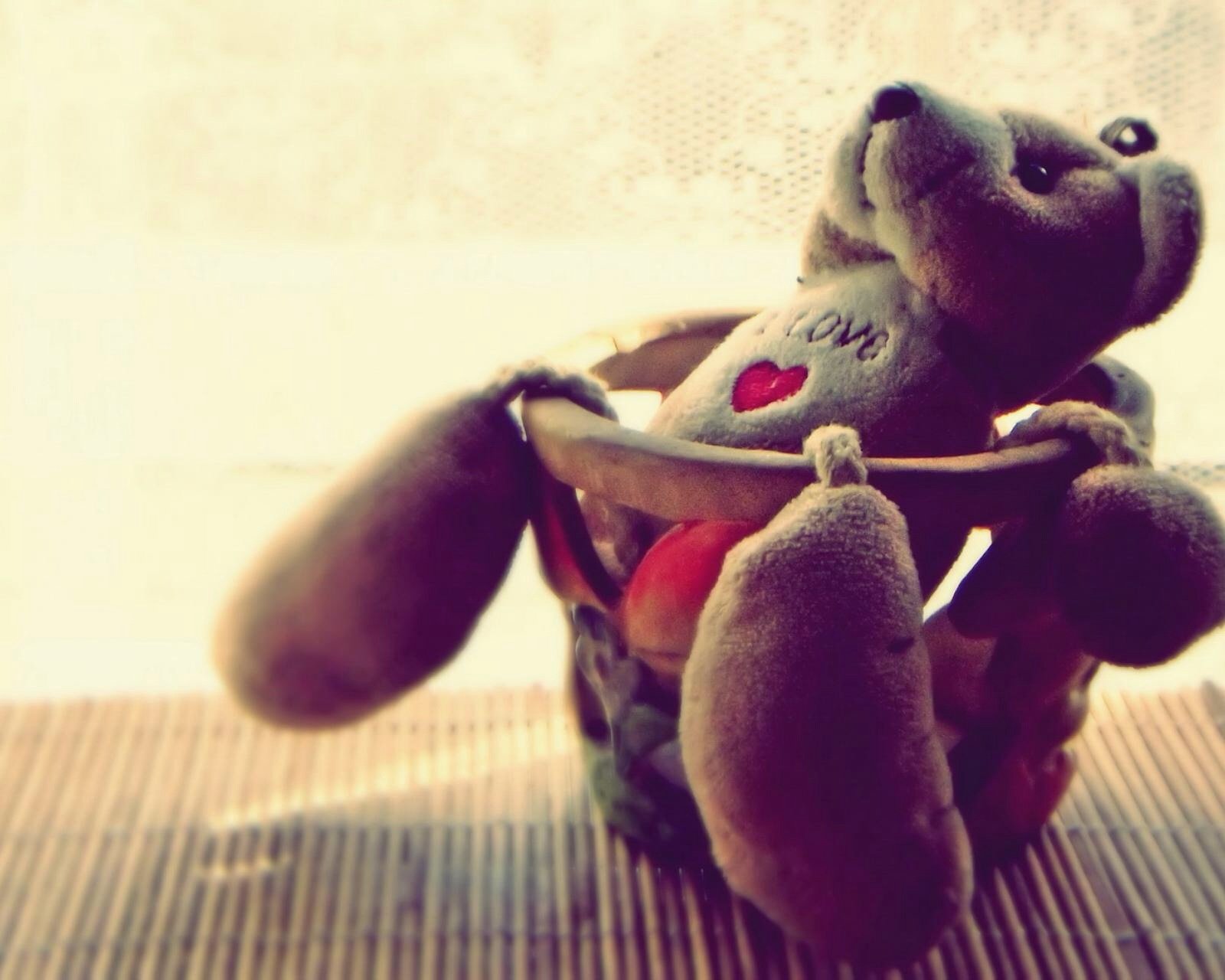 小清新,唯美,浪漫,温暖,温馨,干净,静物,物语,毛绒玩具,熊,孤单,等待,寂寞,伤感