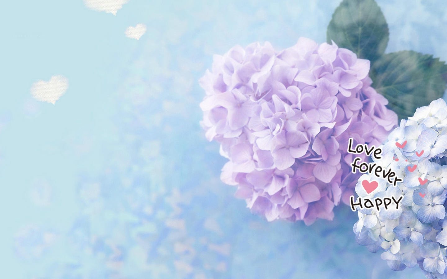 小清新,唯美,浪漫,温暖,温馨,干净,治愈系,慢生活,治愈,美好,花,春天,阳光,一场花开