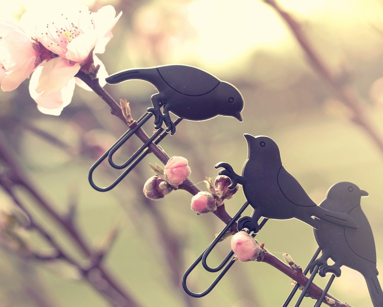 小清新,清新,唯美,物语,静物,治愈系,温暖,慢生活,杯子,冰淇淋