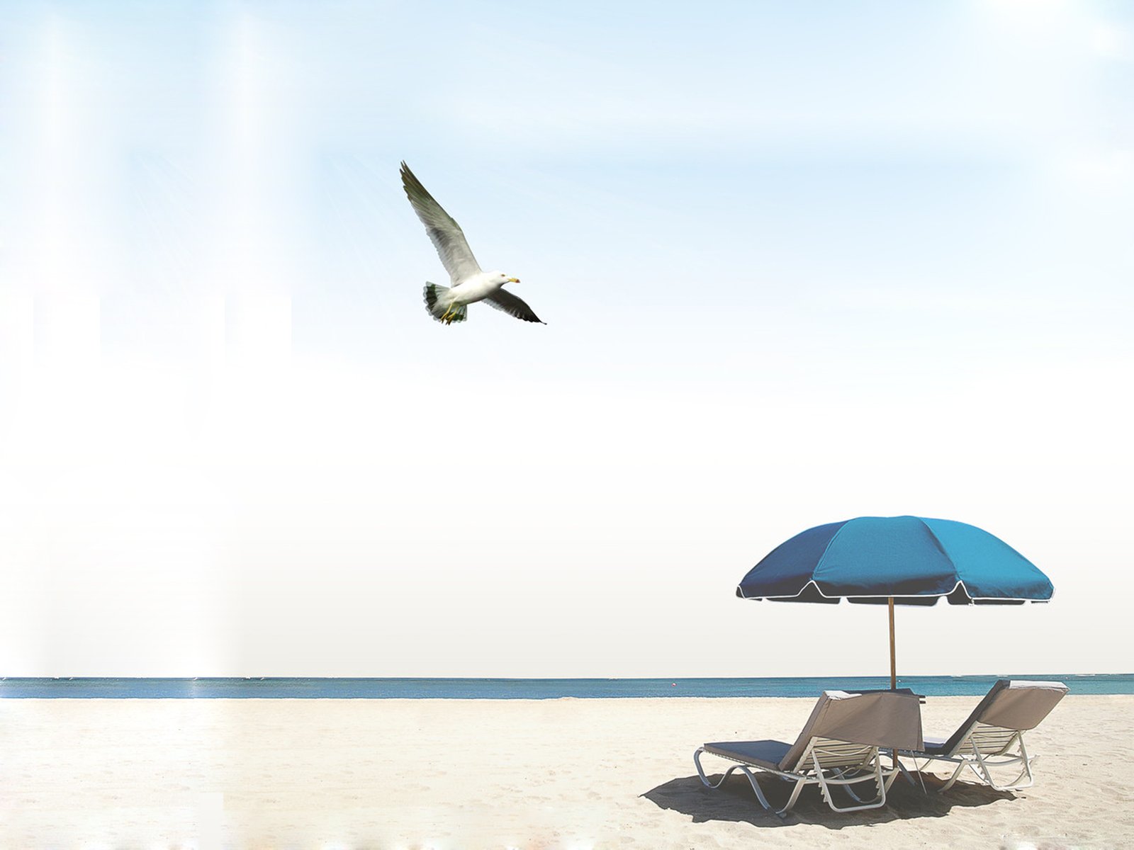 小清新,唯美,浪漫,温暖,温馨,干净,治愈系,慢生活,治愈,美好,夏天,炎热,清爽,冰霜,凉爽,凉快,海边,度假,海鸥,伞