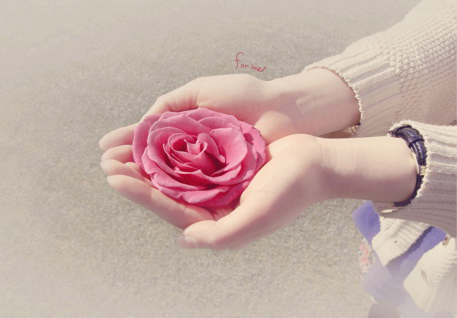 小清新,唯美,浪漫,温暖,温馨,干净,治愈系,慢生活,治愈,美好,女孩,我一直都在你身后,孤单,寂寞,伤感,手,花