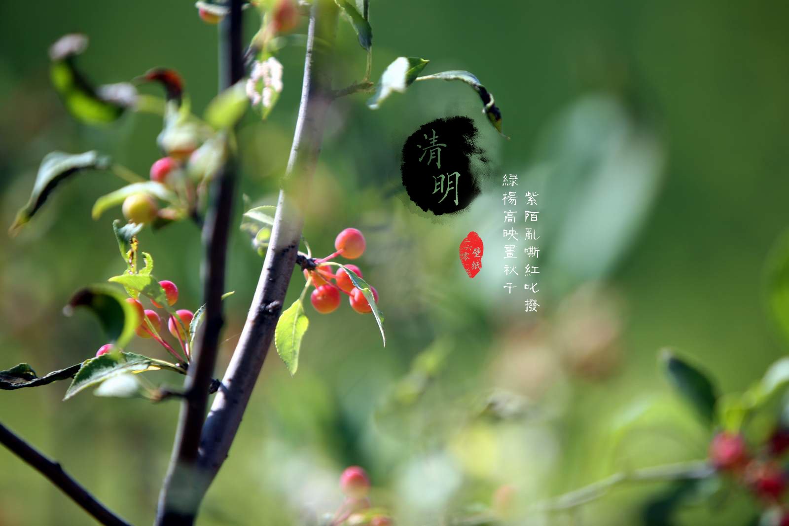 清明节,古风,古诗,诗句,意境,节气,24节气,二十四节气