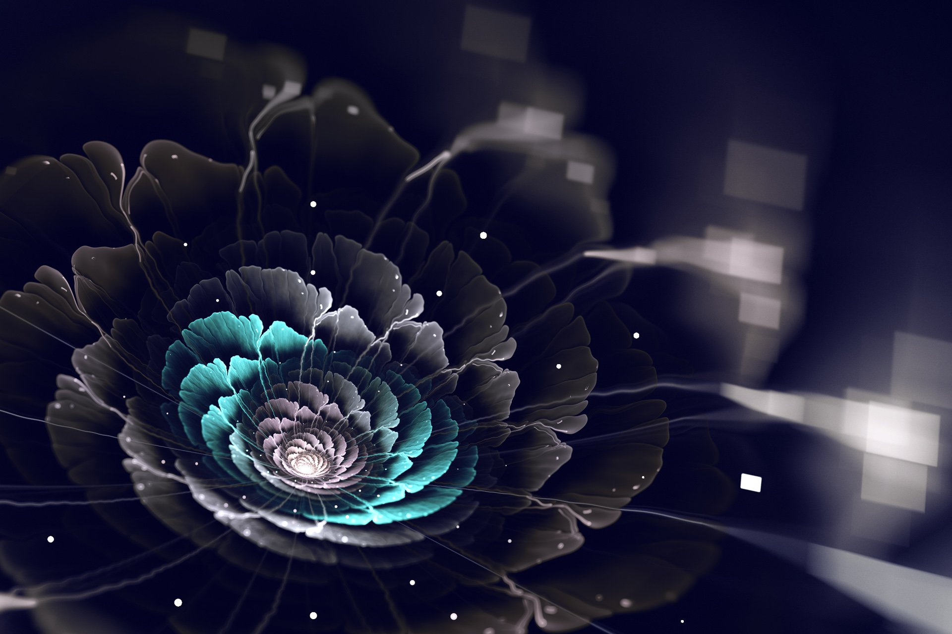 炫酷,特效,视觉艺术分形艺术,花,艺术,设计,色彩,炫彩