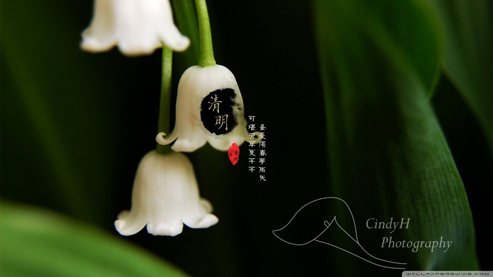 清明节,古风,古诗,诗句,意境,节气,24节气,二十四节气,@姑凉_你又瘦了