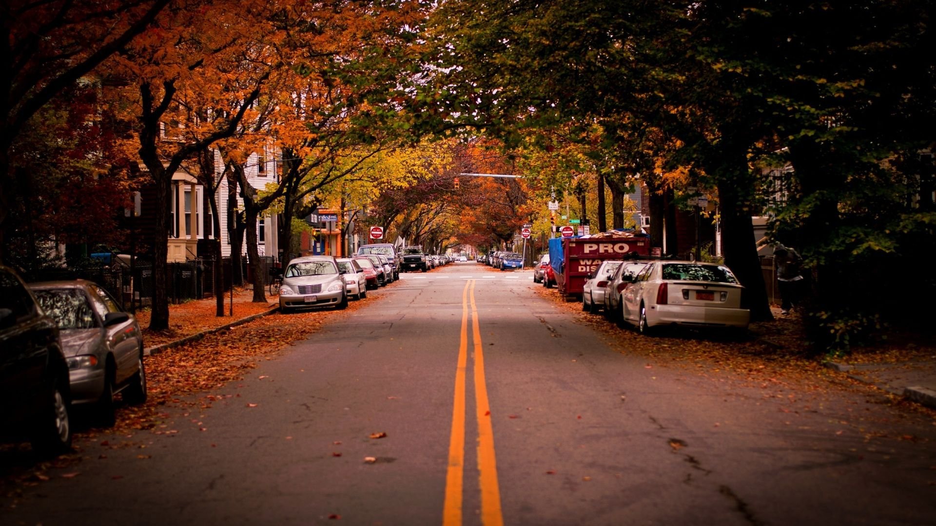 自然,风光,风景,路,前方,方向,前进,秋天