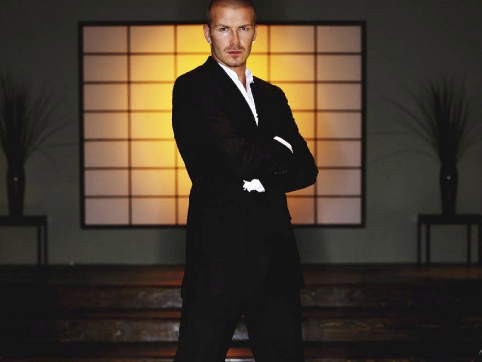 明星,帅哥,男,贝克汉姆,足球