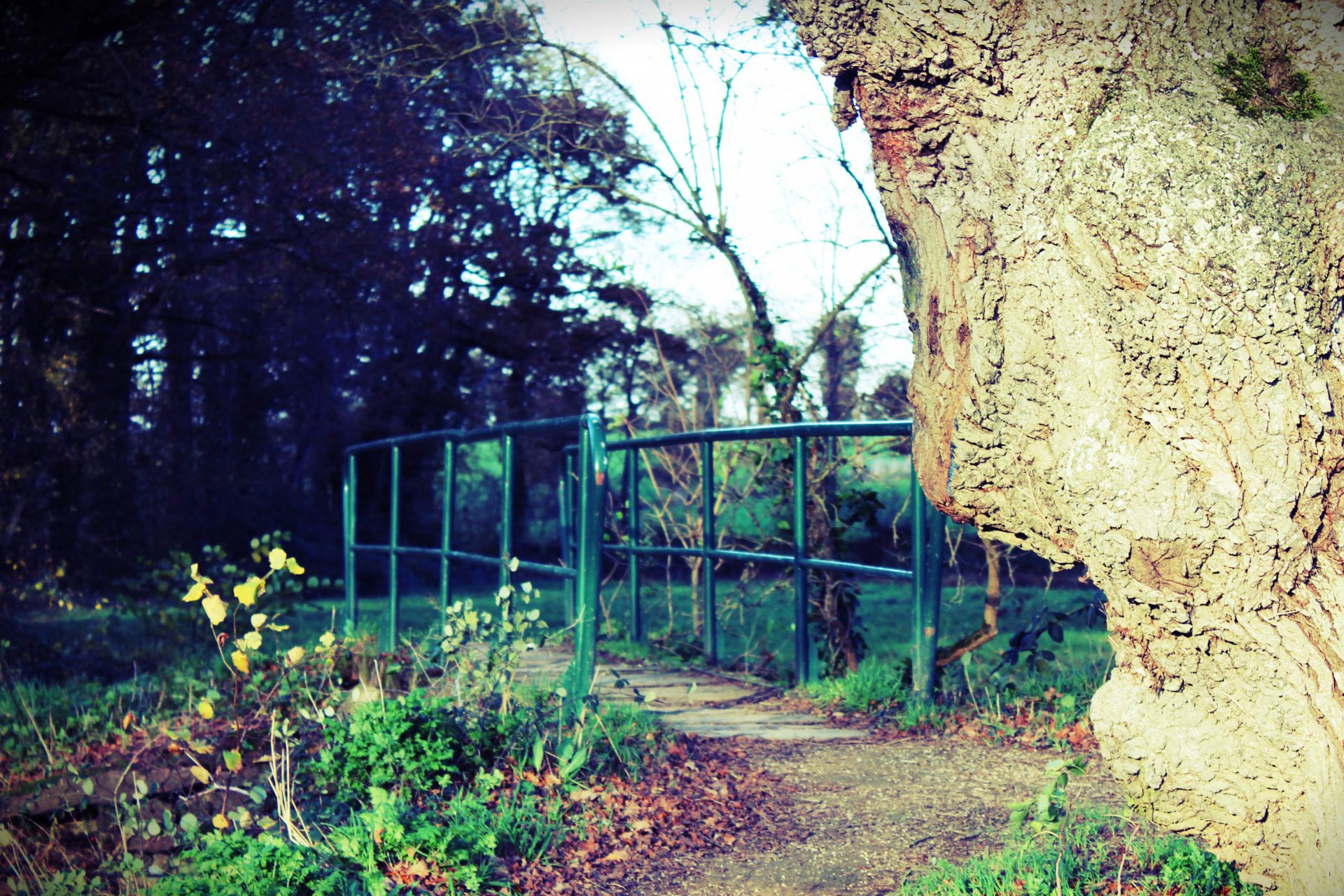 自然,风光,风景,小镇,乡村,田园,房屋,建筑