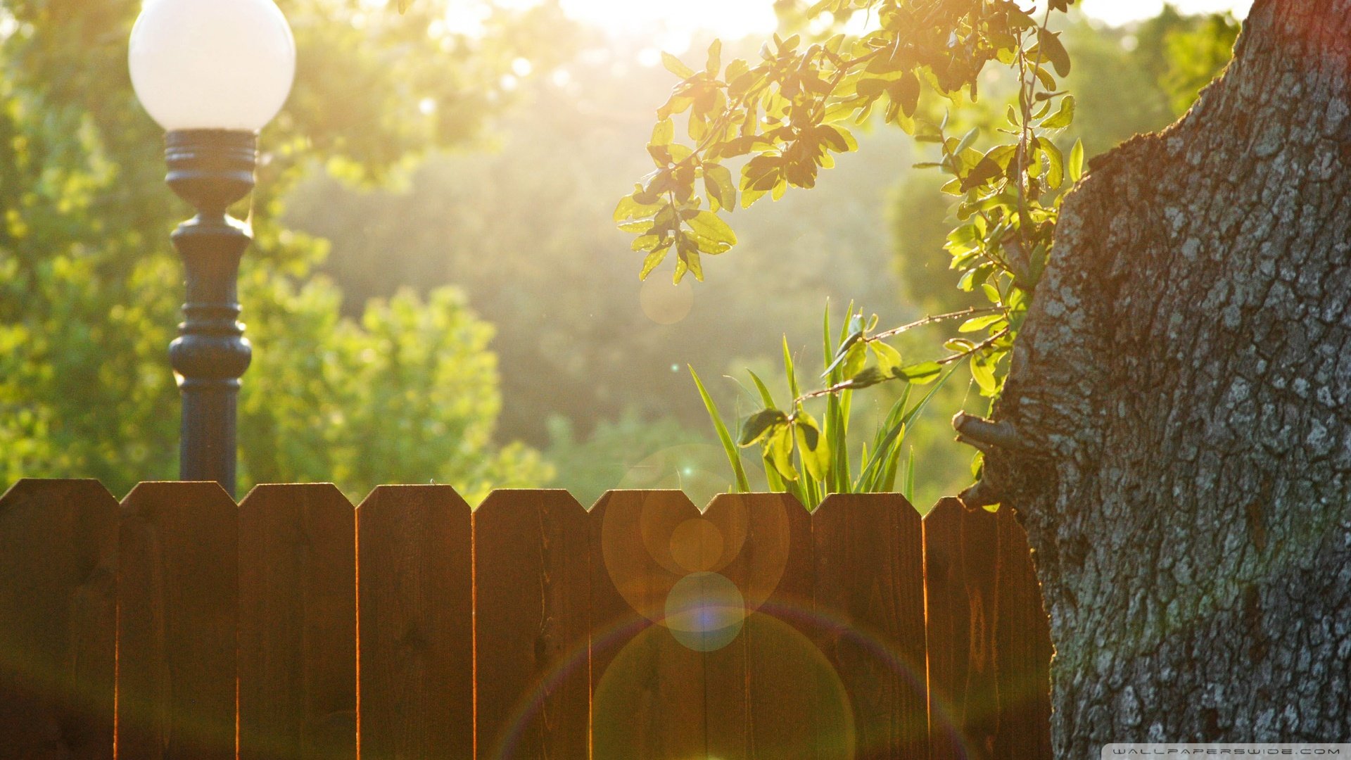小清新,唯美,温馨,温暖,阳光,治愈系,安静,生活,慢生活,清新淡雅,温馨一刻,田园,花园