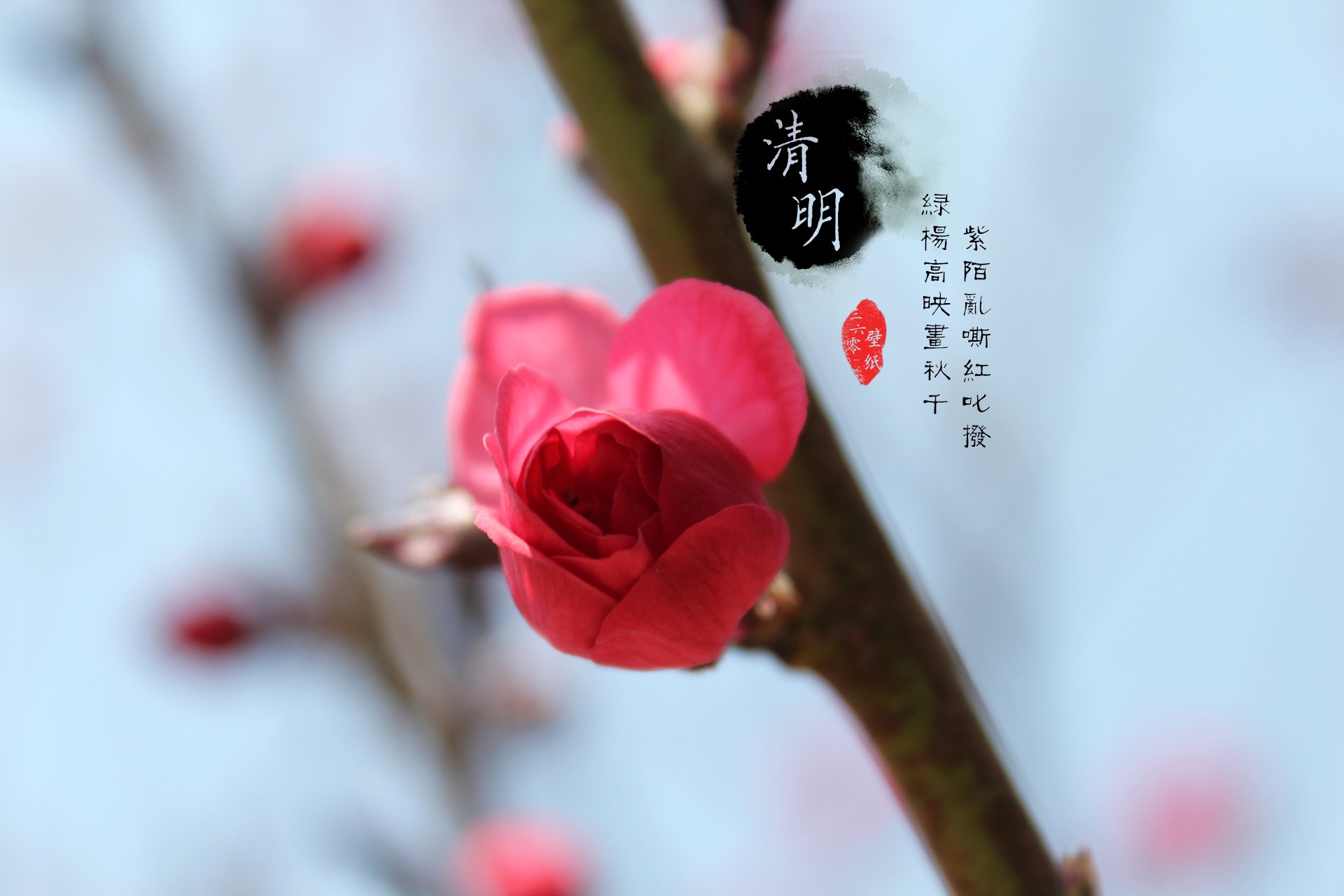 清明节,古风,古诗,诗句,意境,节气,24节气,二十四节气,@姑凉_你又瘦了