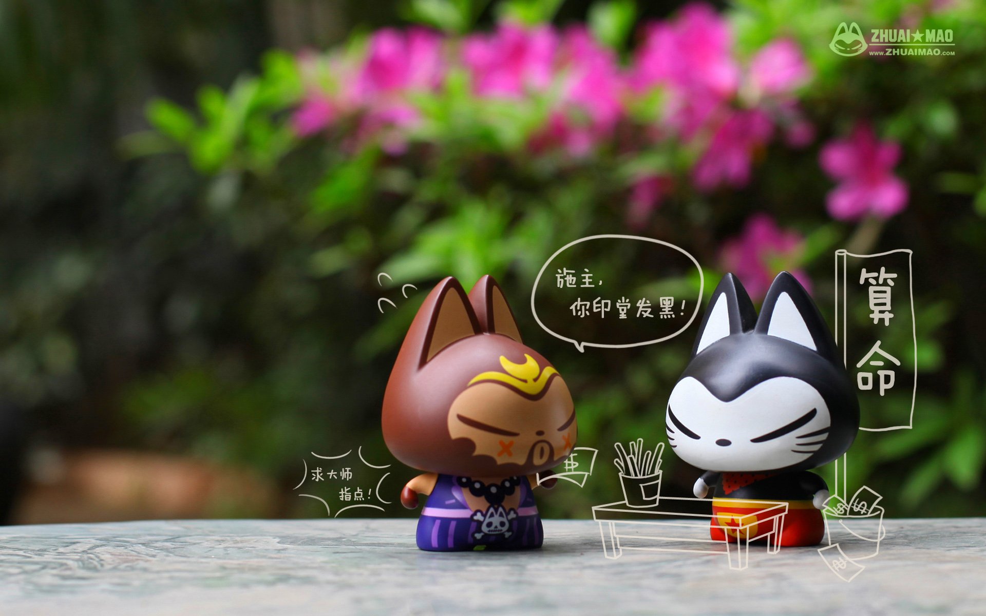 拽猫,可爱,动漫,摄影,静物微距,文字,愚人节,恶搞,搞笑