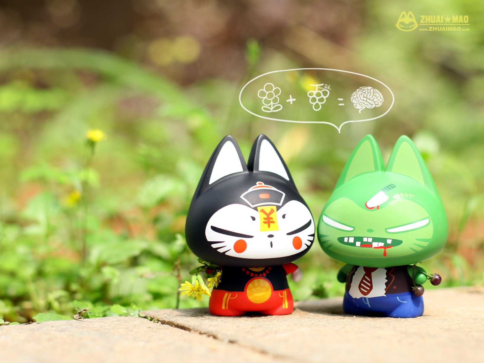 拽猫,可爱,动漫,摄影,静物微距,文字,愚人节,恶搞,搞笑