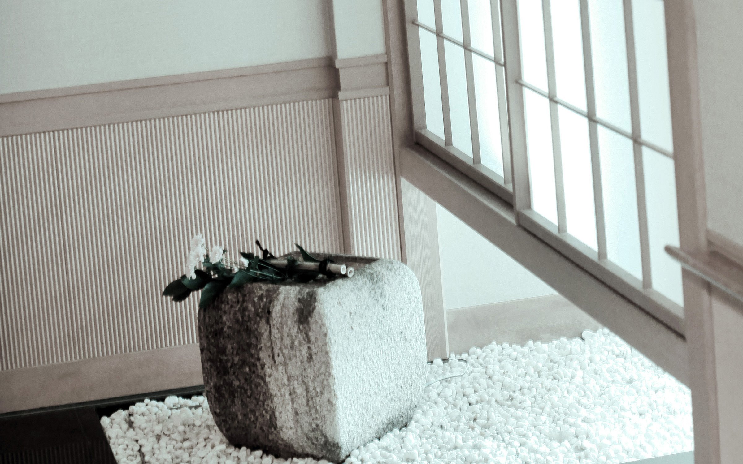 小清新,唯美,温馨,温暖,阳光,治愈系,安静,生活,慢生活,清新淡雅,温馨一刻