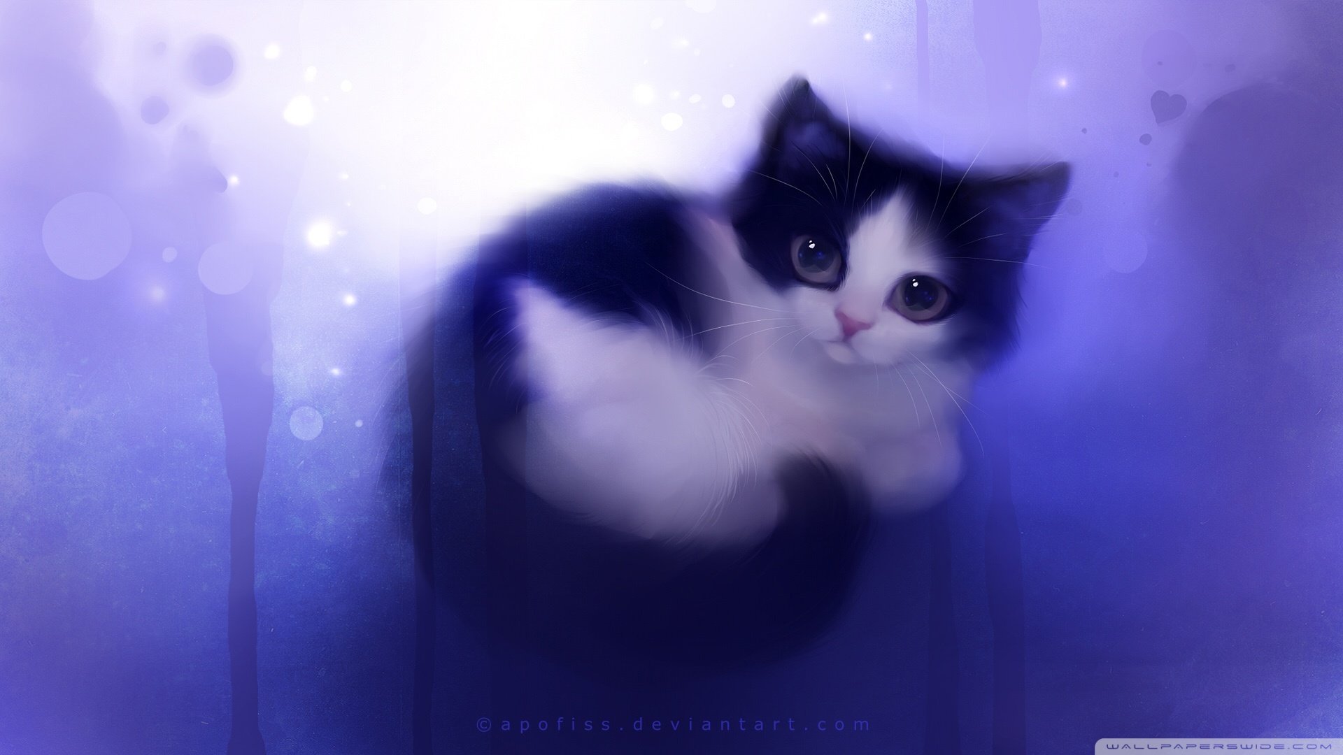 炫酷,特效,视觉艺术,设计,水彩,趣味猫