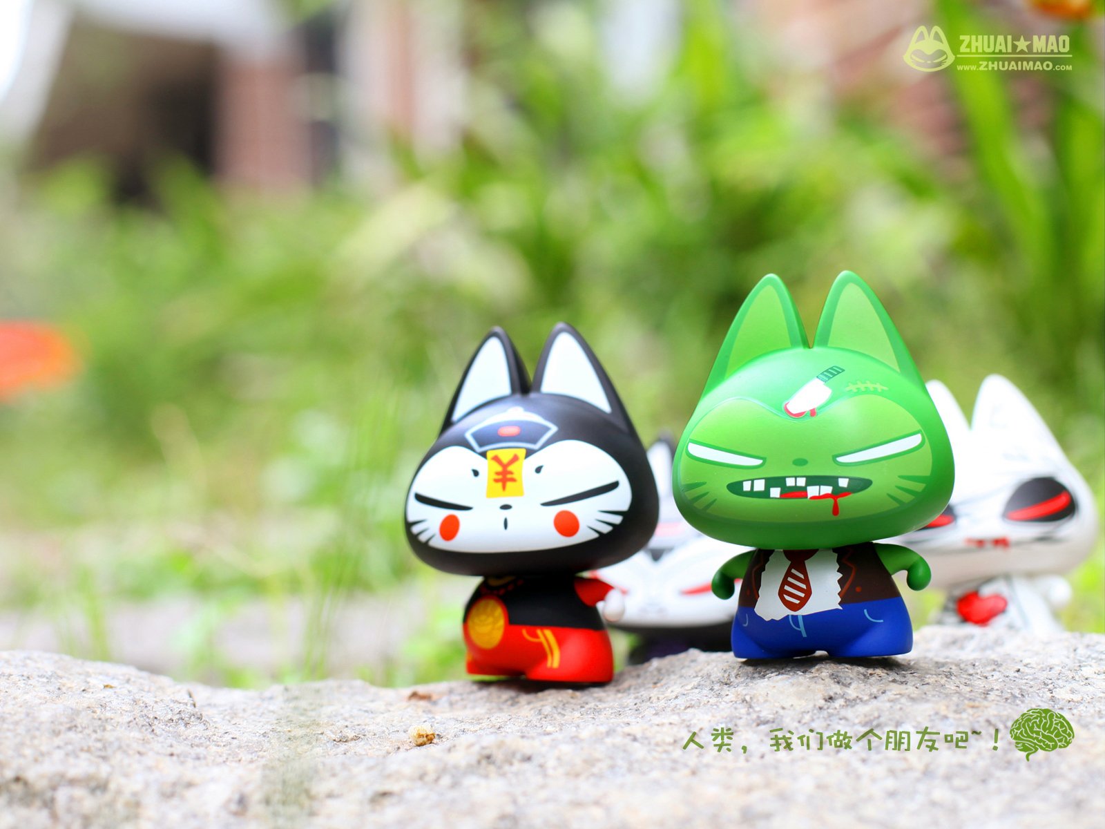 拽猫,可爱,动漫,摄影,静物微距,文字,愚人节,恶搞,搞笑