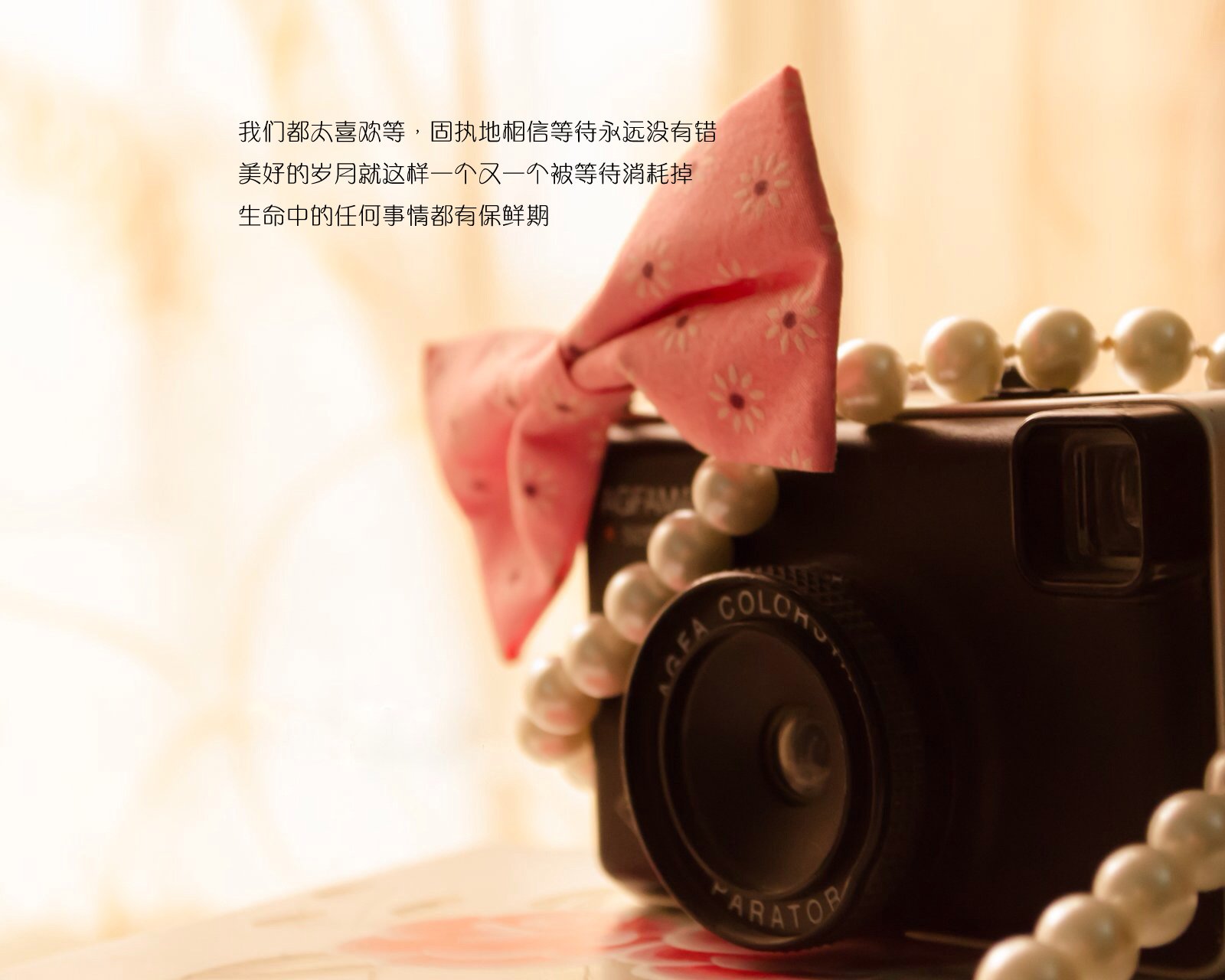 情感,温馨,文字控,心事,治愈,蝴蝶结,相机