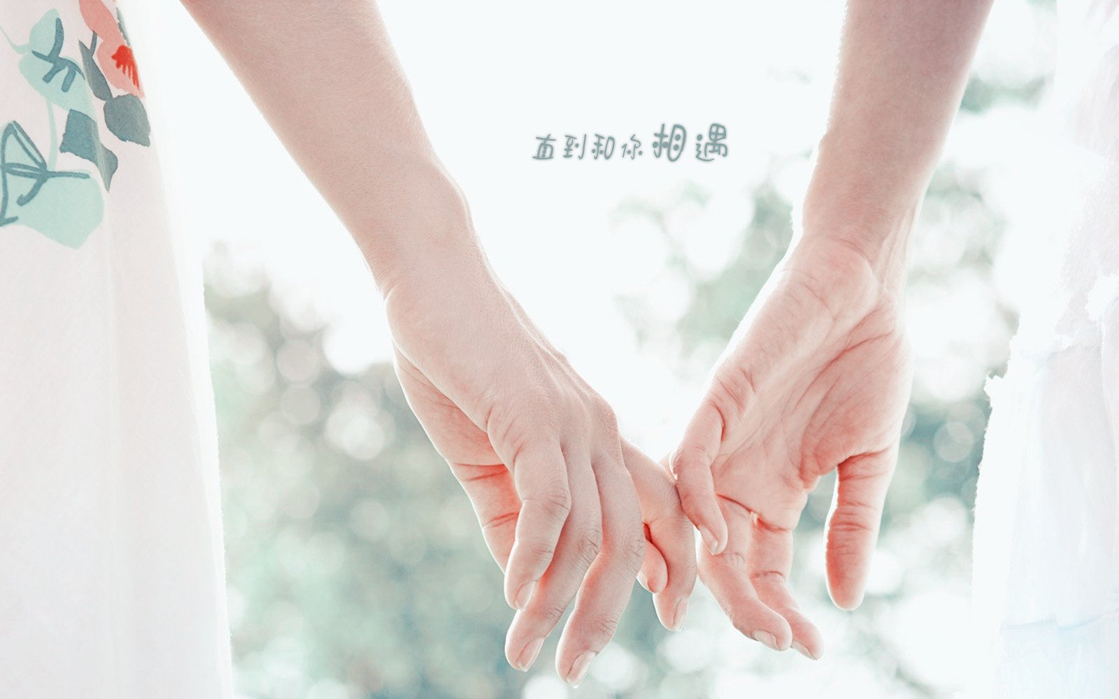 小清新,唯美,浪漫,温暖,温馨,干净,治愈系,慢生活,治愈,美好,执子之手,爱情,牵手,文字,love,情侣,情人