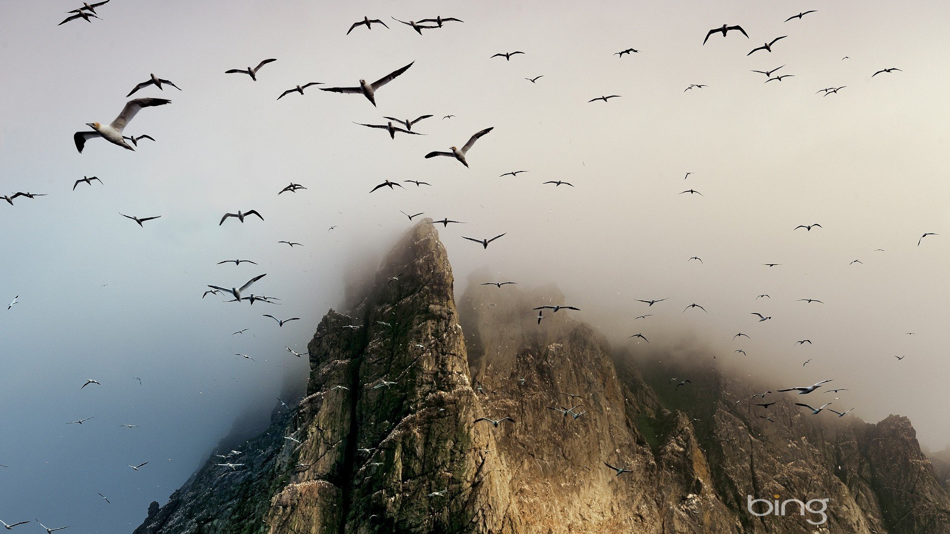 心静者高,风景,云雾,唯美,意境,古风