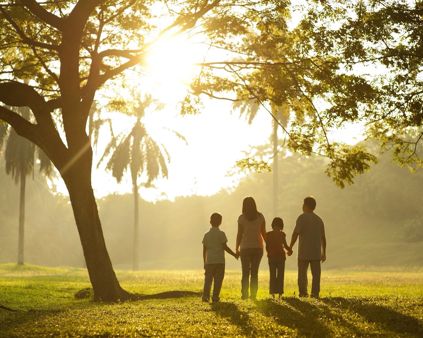 小清新,清新,唯美,物语,静物,治愈系,温暖,慢生活,情感,亲情,温馨