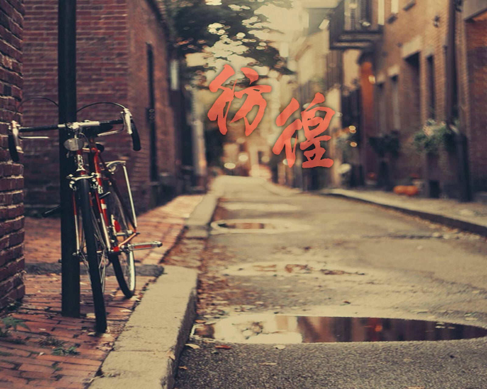 小清新,清新,唯美,物语,静物,治愈系,温暖,慢生活,街道,雨后,自行车,落叶,秋天